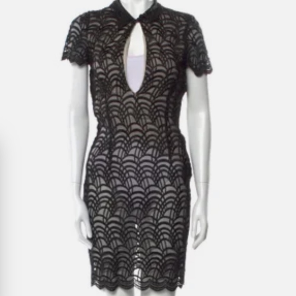 Stone Cold Fox Mini Lace Dress